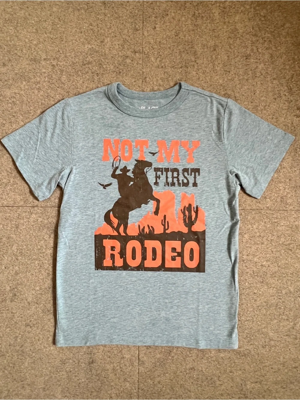 5/6🏜️ The Children’s Place Not My First Rodeo Cowboy Desert Western Graphic Tee